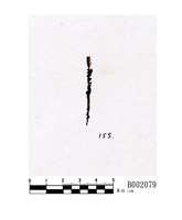 藏品(分瓣合葉蘚)的圖片